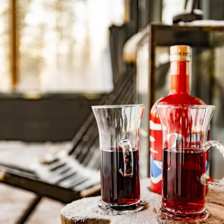 Luossa Lapland Ylläsjärvi